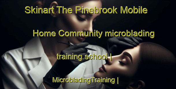 Skinart The Pinebrook Mobile Home Community microblading training school | MicrobladingTraining | MicrobladingClasses | SkinartTraining-United States